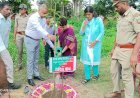 रायबरेली: वृहत पैमाने पर जनपद में वृक्षारोपण कराया जाए: आयुक्त