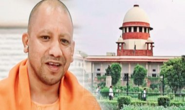 यूपी निकाय चुनाव: निकाय चुनाव में ओबीसी आरक्षण का मामला सुप्रीम कोर्ट पहुंचा, बुधवार को होगी सुनवाई