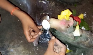 300 वर्ष पुराने शिव मंदिर में दूध पीते नंदी की प्रतिमा का वीडियो वायरल, देखते ही देखते लग गई शिव भक्तों की भारी भीड़