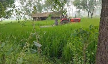 खण्ड विकास महराजगंज : अवैध निर्माण पर चली जेसीबी, धान की फसल पर चला ट्रैक्टर, डीएम से शिकायत के बाद हुई कार्यवाही