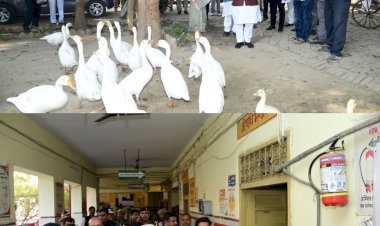 रायबरेली : प्रभारी मंत्री ने जिला अस्पताल व गौशाला का किया निरीक्षण, डीएम-एसपी रहे मौजूद  विकासखंड अमावा का भी निरीक्षण किया गया  मरीजों को बेहतर सेवाएं प्रदान करने के लिए काम करें: राकेश सचान