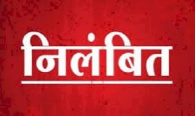 6.69 लाख रुपये का फर्जी भुगतान करना ग्राम पंचायत अधिकारी को पड़ा भारी, निलंबित