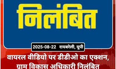 वायरल वीडियो पर डीडीओ का एक्शन, ग्राम विकास अधिकारी निलंबित
