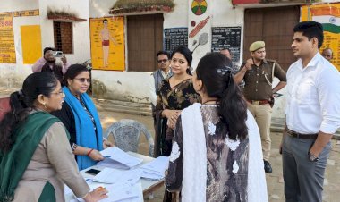 प्रत्येक मतदाता तक गणना प्रपत्र समयबद्ध रूप से पहुंचे: डीएम