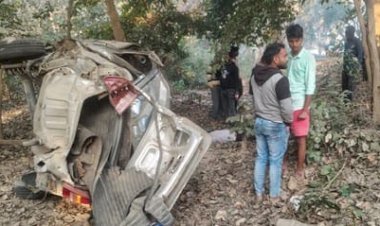 भीषण सड़क हादसे में तीन की दर्दनाक मौत, दो घायल | तेज रफ्तार कार पेड़ से टकराई, बाप-बेटे सहित तीन की मौत