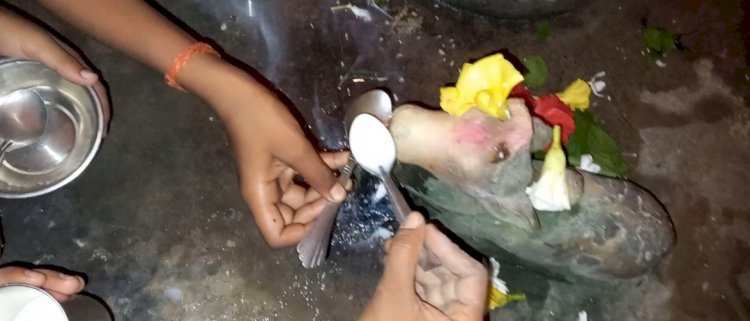 300 वर्ष पुराने शिव मंदिर में दूध पीते नंदी की प्रतिमा का वीडियो वायरल, देखते ही देखते लग गई शिव भक्तों की भारी भीड़