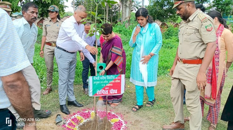 रायबरेली: वृहत पैमाने पर जनपद में वृक्षारोपण कराया जाए: आयुक्त