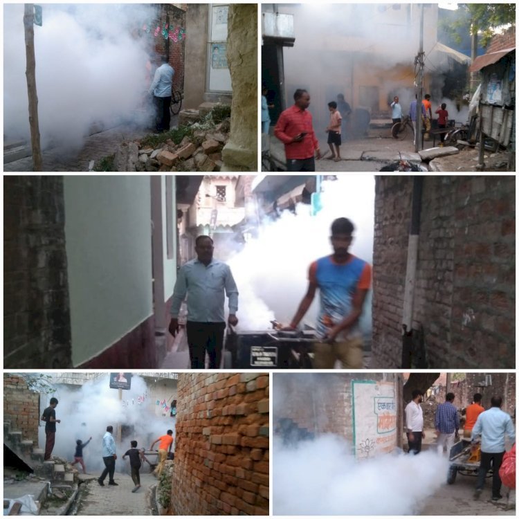 दवा मिलते ही युद्ध स्तर पर किया जा रहा सभी वार्डों में दवा का छिड़काव व फॉगिंग |  नगर पंचायत महराजगंज में साफ सफाई के साथ दवा का छिड़काव व फॉगिंग, मिलेगी राहत