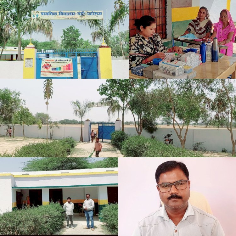 प्राथमिक विद्यालय गढ़ी में शिक्षा का स्तर बेहतरीन  हरियाली लगाकर बढ़ गई विद्यालय की सुंदरता, बाउंड्री वॉल से विद्यालय सुरक्षित